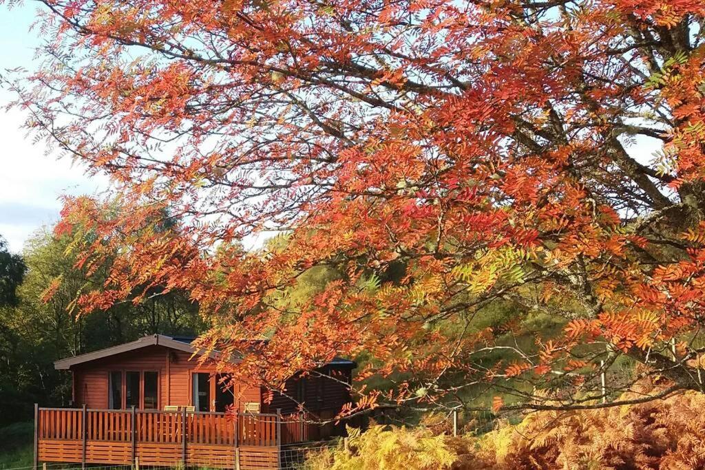 Glas Doire Lodge, Glen Roy Nature Reserve 罗伊桥 外观 照片