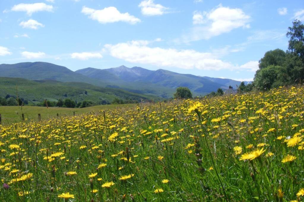 Glas Doire Lodge, Glen Roy Nature Reserve 罗伊桥 外观 照片